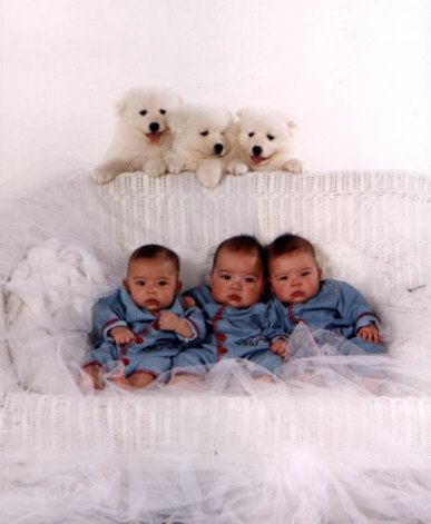 triplets2.jpg (33954 bytes)