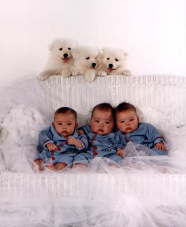 triplets3.jpg (33285 bytes)