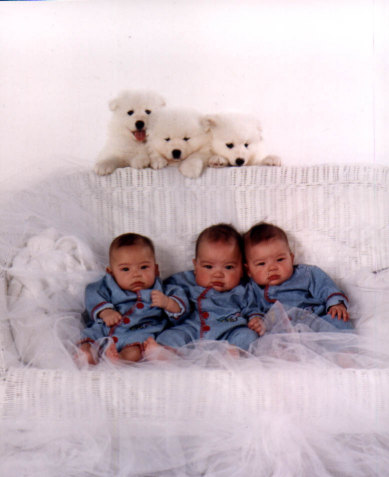 triplets4.jpg (33926 bytes)