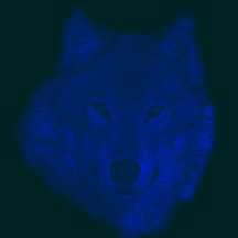 bluewolflighter.jpg (4980 bytes)
