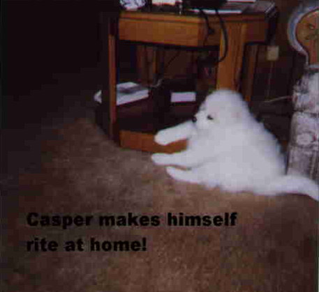 CASPER1.jpg (32685 bytes)